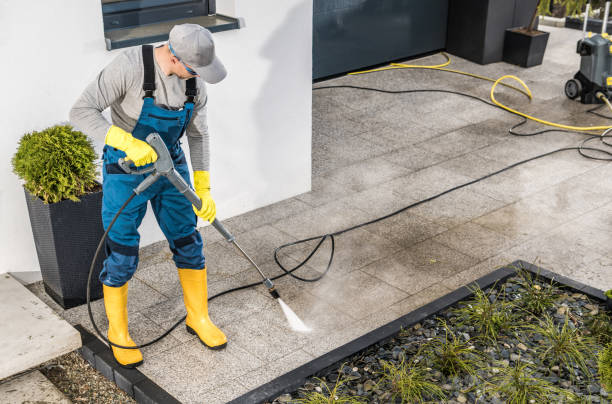 Best Best Pressure Washing Companies  in Stevensville, MI